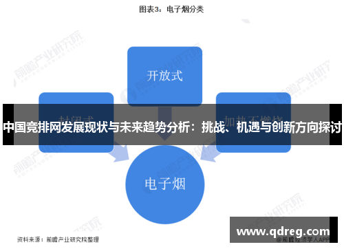 中国竞排网发展现状与未来趋势分析：挑战、机遇与创新方向探讨